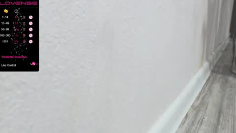 Snapshot of pussy_sladusy chatting on January 2025 09:39:02 PM Nina online show from January 2025 09:39:02 PM