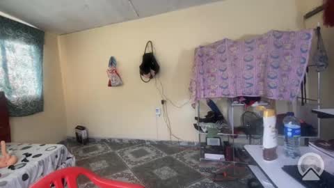 putinaicolls online show from May 2026 09:31:01 PM