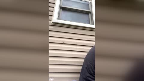 pyrex8 online show from April 2026 08:58:02 PM