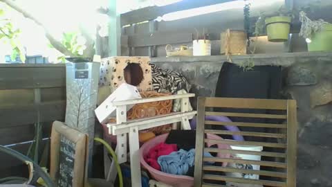 Python online show from January 2025 02:33:01 AM