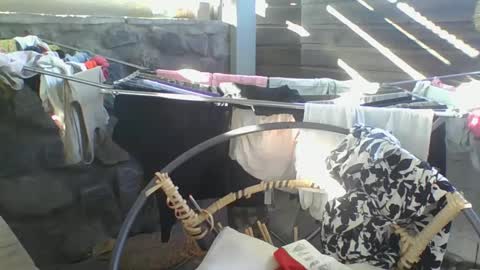 Python online show from January 2025 02:57:01 AM