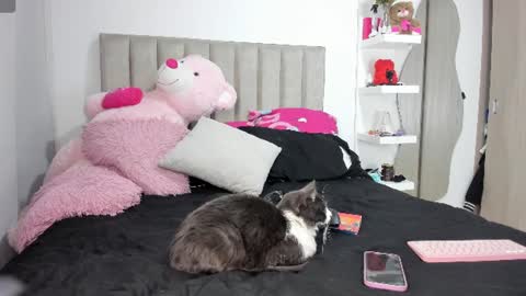 Snapshot of queen_antonella_oficial chatting on June 2026 08:04:02 AM QUEEN ANTONELLA online show from June 2026 08:04:02 AM