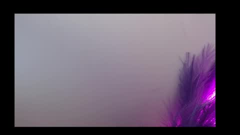 Queen Rosee  online show from February 2026 12:59:02 AM