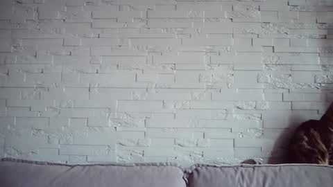 QueenOfModels online show from November 2025 06:08:01 AM