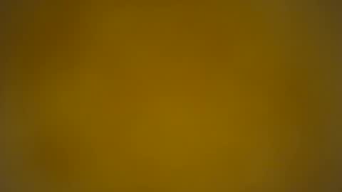 quinnxx online show from June 2026 07:35:02 AM