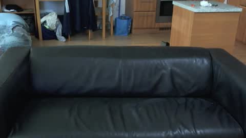 rafaelosteel online show from October 2025 09:30:01 AM