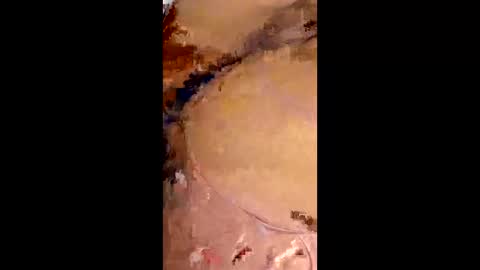 rafagomez102002 online show from January 2026 02:48:02 AM