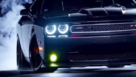 rah_8151 online show from January 2025 12:24:01 AM