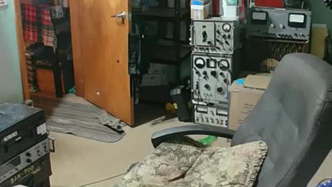 Randall online show from April 2026 12:56:01 AM