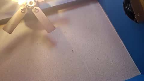 Randcandy77 online show from November 2025 04:51:02 PM