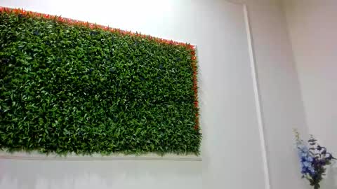 Rania online show from January 2026 08:23:01 PM