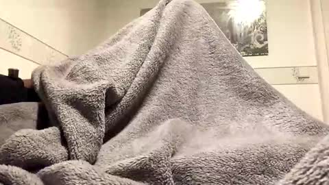 ranj00800 online show from November 2025 06:51:01 PM