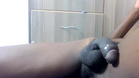 rarespecies21 online show from April 2026 10:13:01 AM