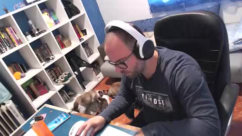 ravingr3d3 online show from November 2025 09:20:01 AM