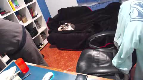 ravingr3d3 online show from December 2025 12:51:01 AM