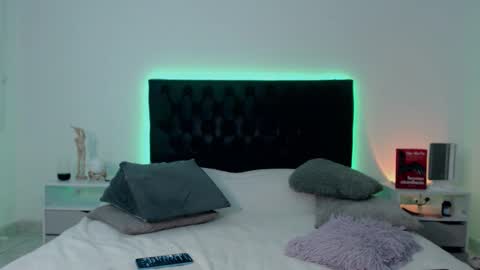 Snapshot of ray_weed chatting on November 2025 03:01:02 AM Ray online show from November 2025 03:01:02 AM