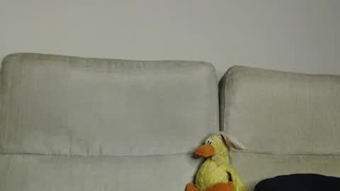 Ray  online show from April 2026 11:40:01 AM