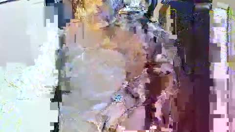 rb69er905364 online show from April 2026 06:16:01 PM