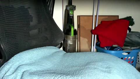 re dick online show from October 2025 02:45:01 AM