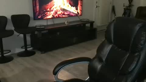 Real Aquaman online show from February 2026 12:29:02 AM