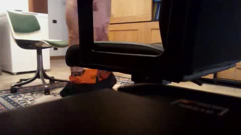 redbull3254 online show from December 2025 11:26:02 AM