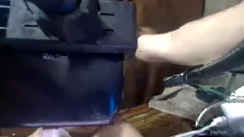 Reynaldo Palermo Alconera online show from January 2025 08:23:02 AM