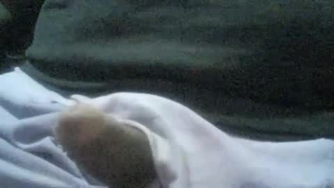 ricardo160291 online show from January 2025 01:09:02 AM