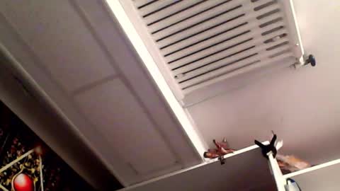 RICK DAYDREAM online show from March 2026 08:35:02 PM