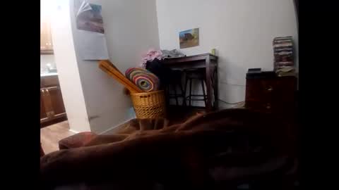 ricko72402285 online show from December 2025 12:10:01 PM