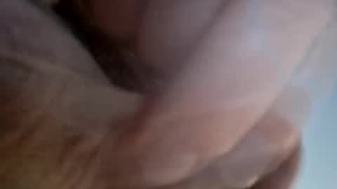Snapshot of ridik2222333375562 chatting on April 2026 02:28:01 AM ridik2222333375562 online show from April 2026 02:28:01 AM