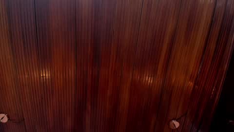 Snapshot of riley_reid_19 chatting on December 2024 02:12:01 PM kamila online show from December 2024 02:12:01 PM