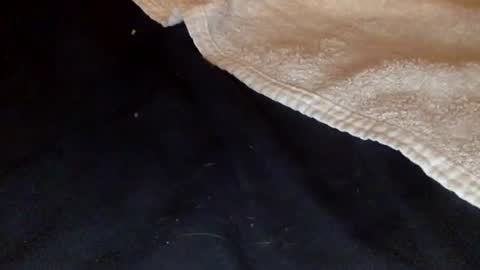 rimalova online show from December 2025 01:45:02 AM