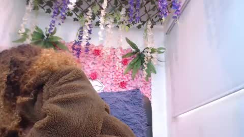 Risitos De Oro online show from April 2026 06:31:02 PM