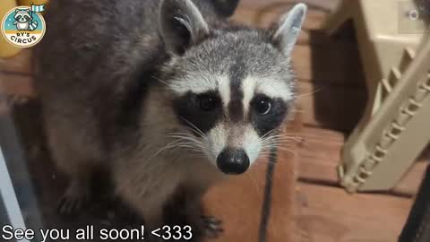 Ryan aka KeylimeRy online show from March 2026 05:52:01 PM