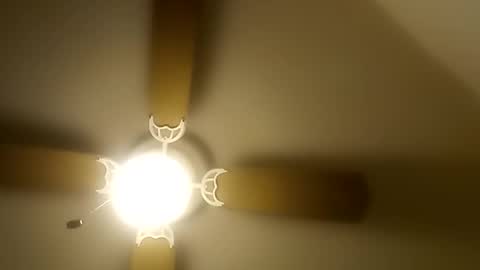 robertsaiz4200 online show from December 2025 08:49:02 PM