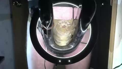 Robodickmilker online show from September 2025 07:04:01 PM