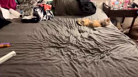 roguestoner420 online show from March 2026 02:08:02 AM