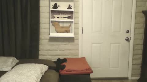 Snapshot of roinaz chatting on January 2025 06:55:02 AM roinaz online show from January 2025 06:55:02 AM