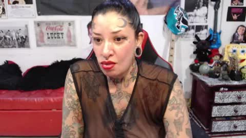 Snapshot of rollyderolandia666 chatting on December 2024 10:26:01 PM Rolly online show from December 2024 10:26:01 PM