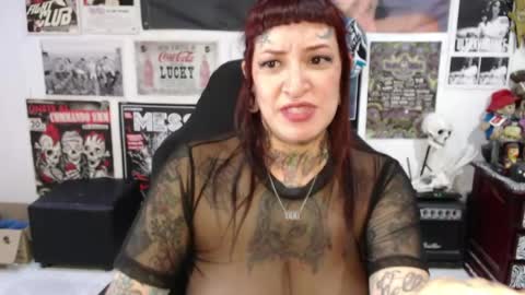 Rolly online show from April 2026 08:55:02 PM