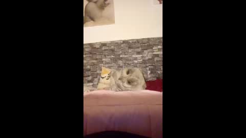 romylachienne online show from January 2026 02:59:02 AM