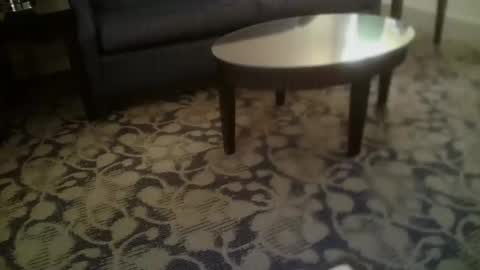 ronin098 online show from April 2026 12:29:02 PM