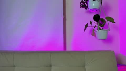 Snapshot of roselinedior chatting on January 2025 06:37:02 PM Lyla OF roselinedior online show from January 2025 06:37:02 PM