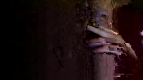 rotorranch online show from October 2025 06:31:01 AM