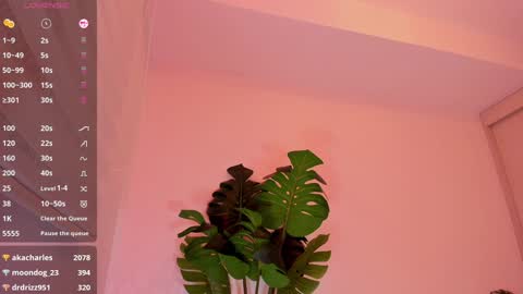 Snapshot of rouse_hallberg_ chatting on January 2025 02:46:01 AM DREAM online show from January 2025 02:46:01 AM