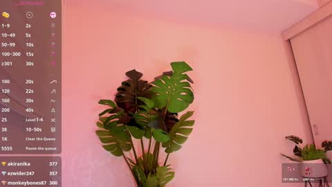 Snapshot of rouse_hallberg_ chatting on January 2025 12:20:01 AM DREAM online show from January 2025 12:20:01 AM