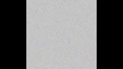 Snapshot of rouse_hallberg_ chatting on September 2025 12:34:01 AM DREAM online show from September 2025 12:34:01 AM