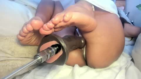 Rosa online show from April 2026 11:31:02 AM