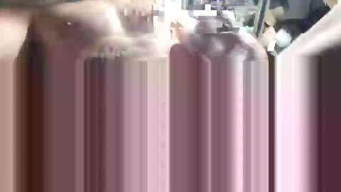 popye online show from April 2026 08:00:02 PM