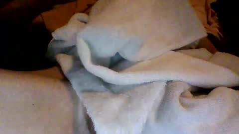 Snapshot of royboy2561 chatting on October 2025 09:08:01 AM Roy Murrin online show from October 2025 09:08:01 AM